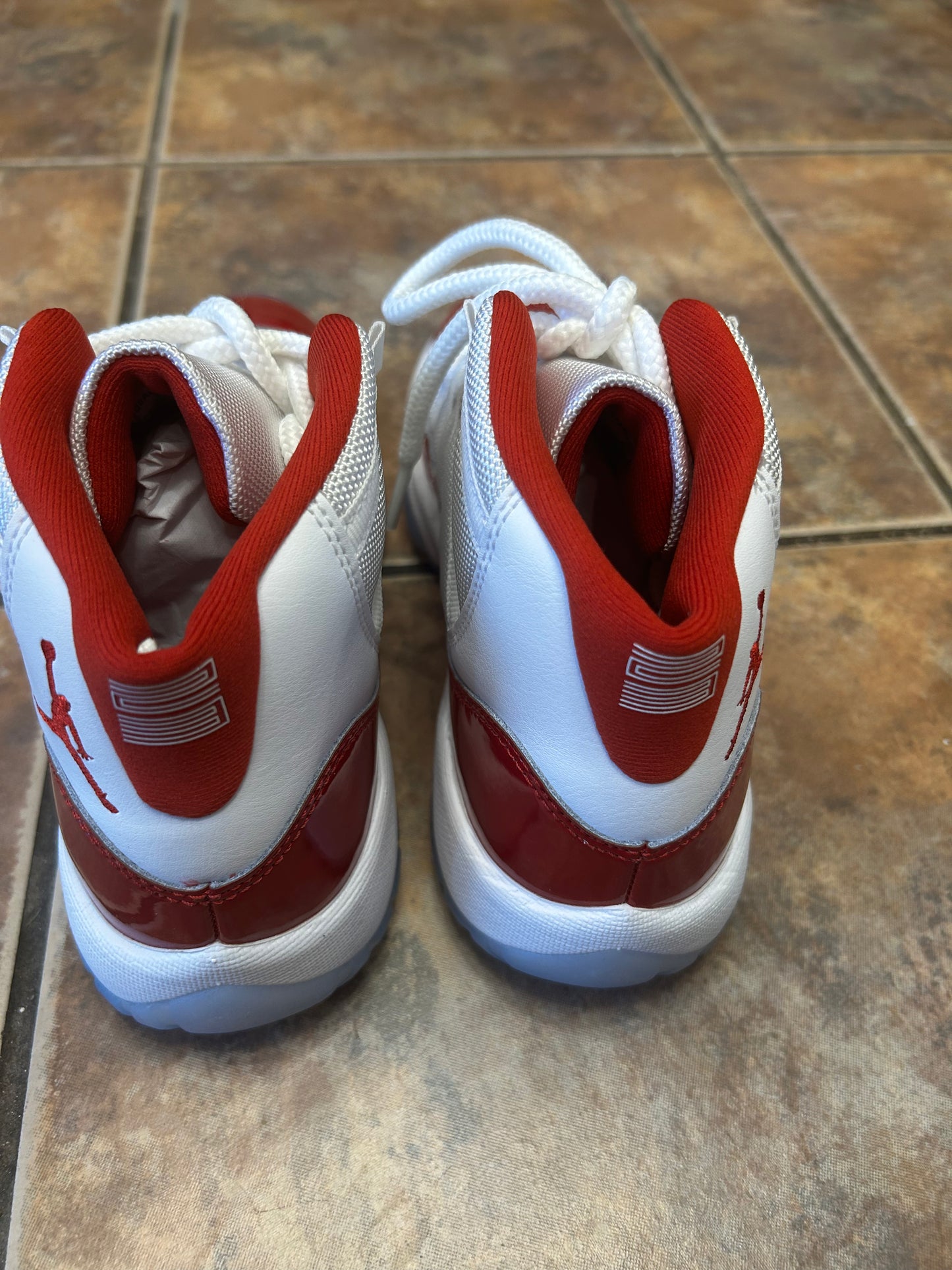 Air Jordan 11 Retro (2022)