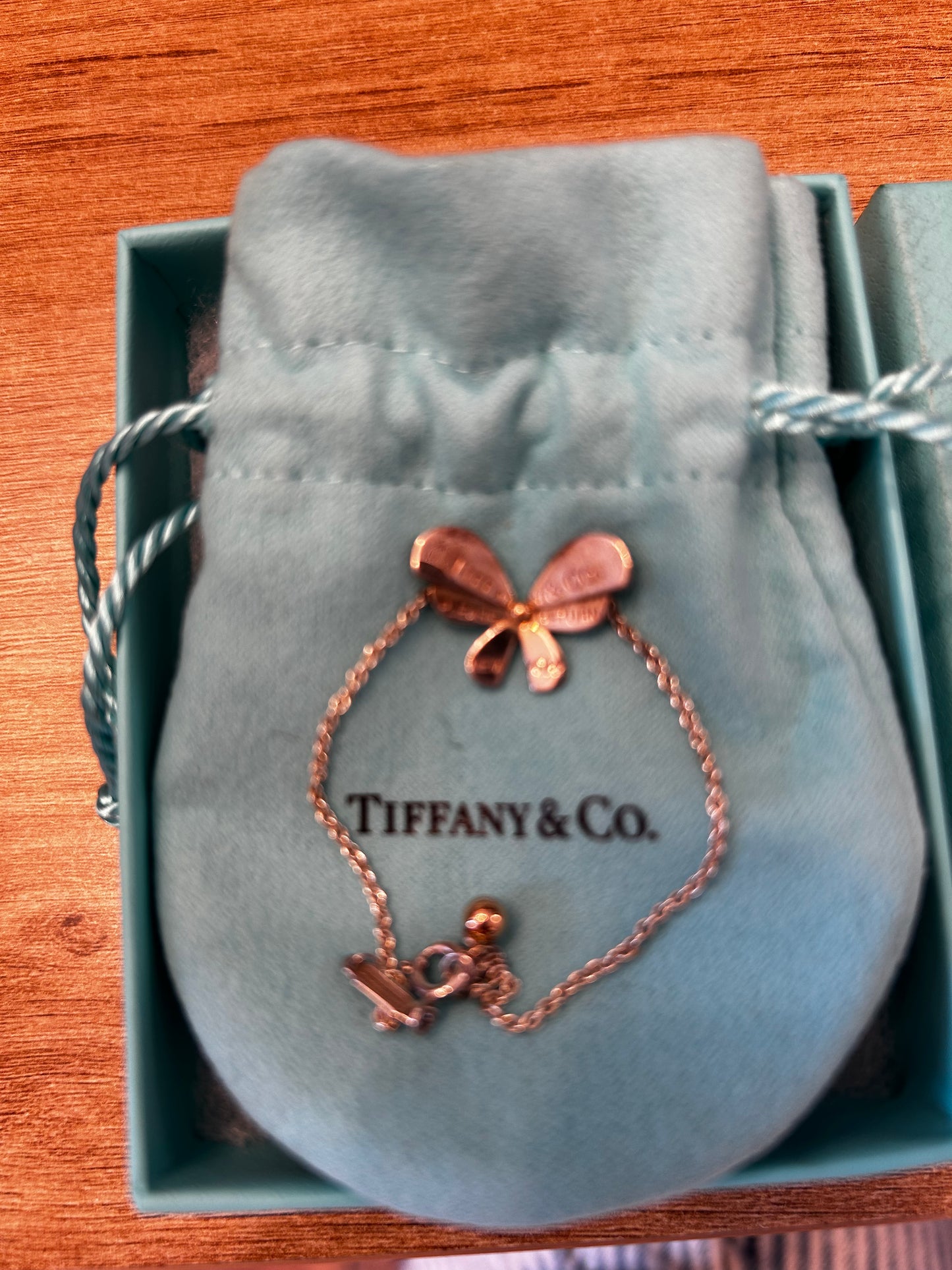 Tiffany & Co Butterfly Chain Bracelet